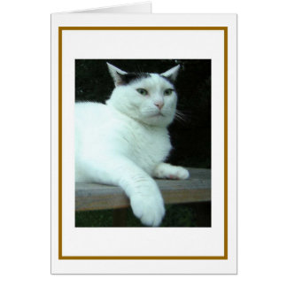 Tarjeta de reflexión secundaria WiLSoN