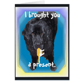 Tarjeta de regalo de bienvenida de Newfoundland