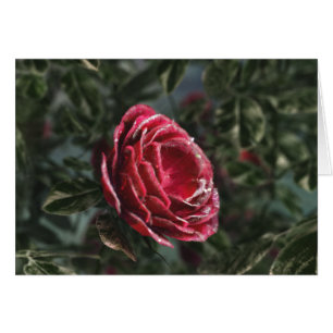 Tarjeta de regalo de despedida de invierno