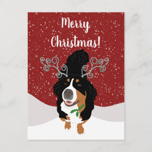 Tarjeta de regalo de perro de montaña Bernese para