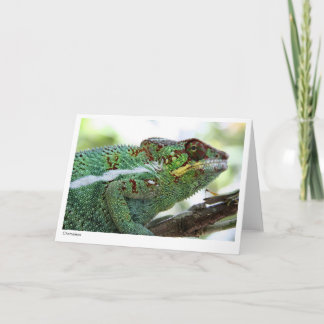 Tarjeta de regalo del camaleón de la pantera