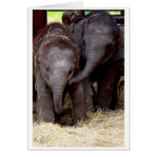 Tarjeta de regalo del elefante asiático del bebé -