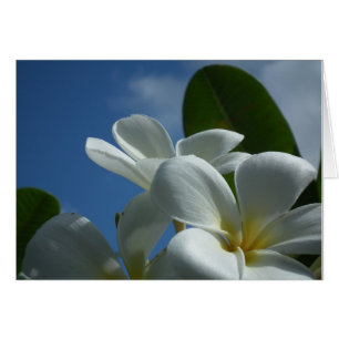 Tarjeta de regalo del Plumeria