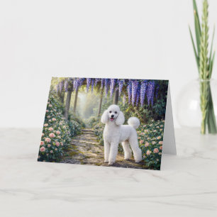 Tarjeta de regalo en blanco de Caniche estándar