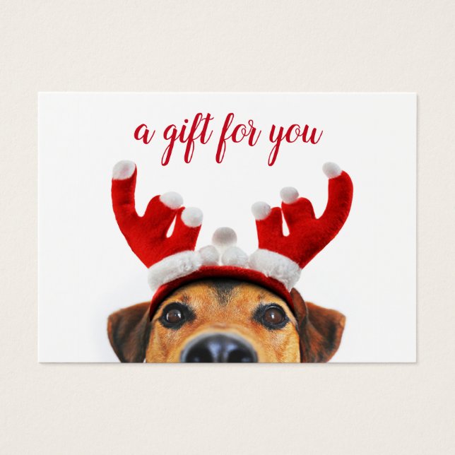 Tarjeta de regalo para canes de canes de perro gra (Frente)