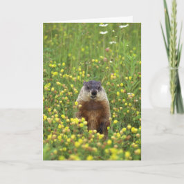 Tarjeta de reglas de Groundhogs