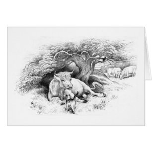 Tarjeta de reposo de vaca