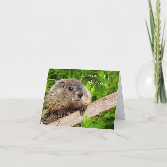 Tarjeta de repostería de cumpleaños Groundhog (Anverso)