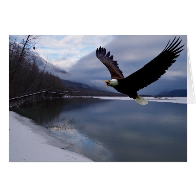 Tarjeta de reserva de águila Chilkat (Anverso (Horizontal))