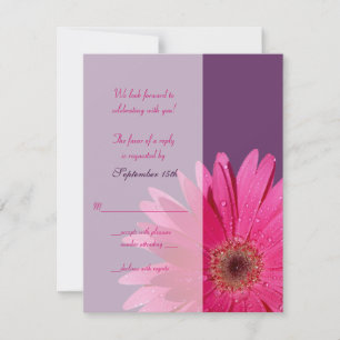 Tarjeta de respuesta de boda de Gerbera Daisy Mora
