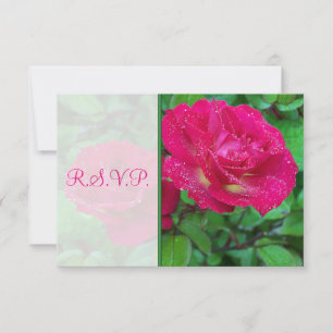Tarjeta de respuesta de boda de rosas rosadas y am