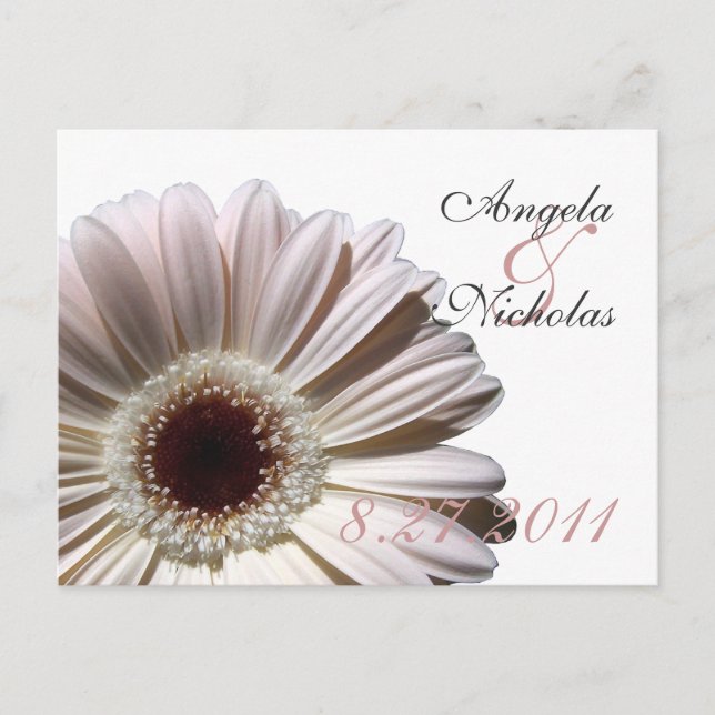 Tarjeta de respuesta de boda/Margarita de Gerbera (Anverso)