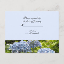 Tarjeta de respuesta de Hortensias Azules