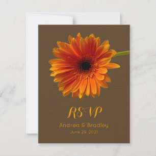 Tarjeta de respuesta de naranja Gerbera Daisy