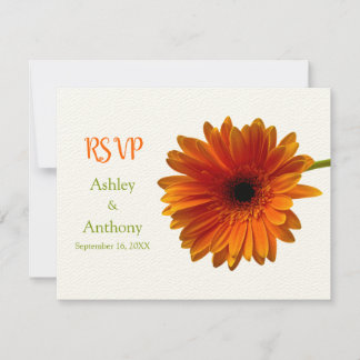 Tarjeta de respuesta de naranja Gerbera Daisy