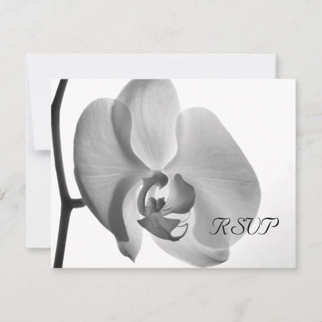 Tarjeta de respuesta RSVP de Boda Orquídea Blanca (Anverso)