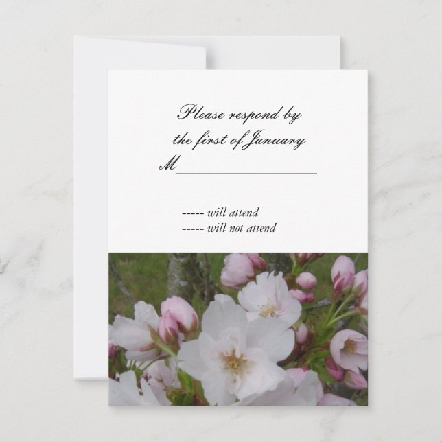 Tarjeta de respuesta RSVP de cerezo Blossom (Anverso)
