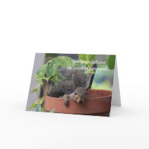 Tarjeta de retiro divertida, ardilla en Planter