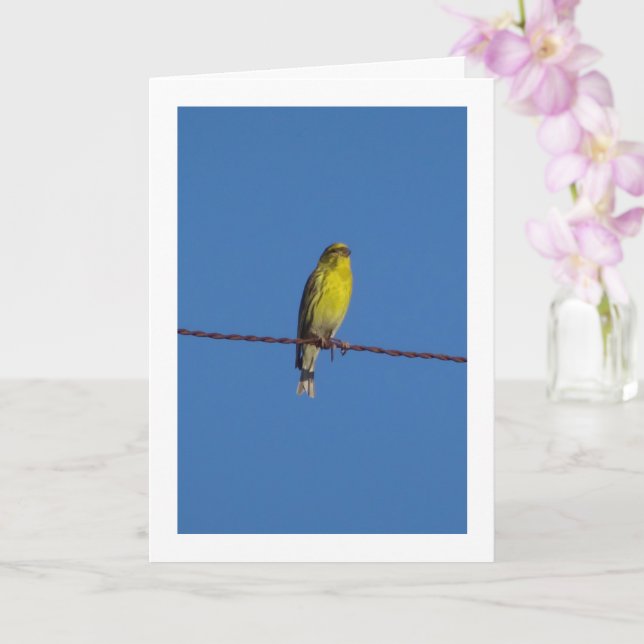 Tarjeta de retrato de aves serinas europeas (Orquídea)