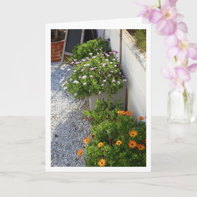 Tarjeta de retrato de dias africanas (Orquídea)