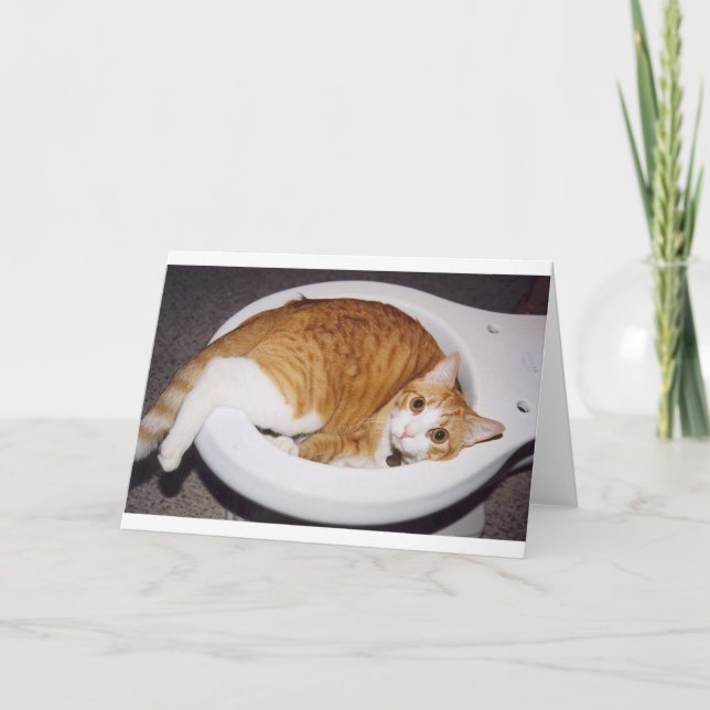 Tarjeta de retrete para gato (Anverso)