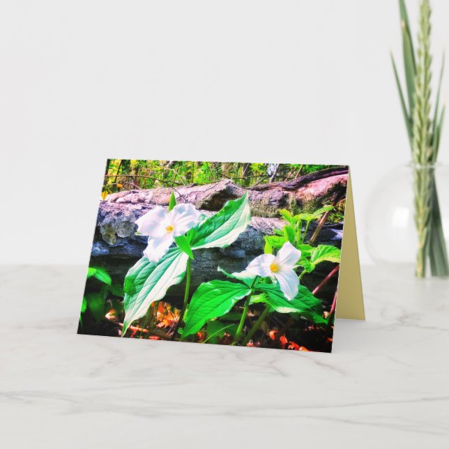 TARJETA DE REUNIÓN BRILLANTE DE TRILLIUMS (Anverso)