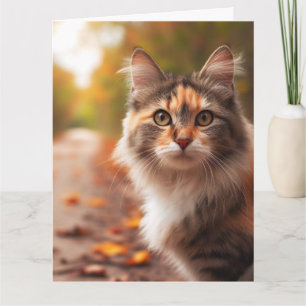 TARJETA DE REUNIÓN DE CUMPLEAÑOS DE CALICO CAT