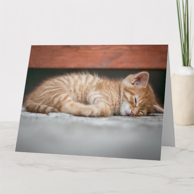 TARJETA DE REUNIÓN DE CUMPLEAÑOS DE GINGER CAT KIT (Anverso)