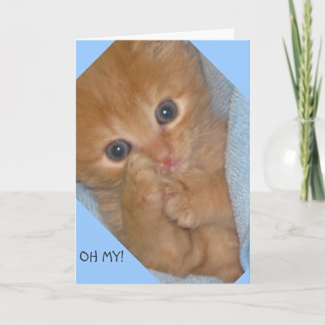 TARJETA DE REUNIÓN DE CUMPLEAÑOS DE PAWS-ITIVAMENT (Anverso)