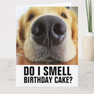 TARJETA DE REUNIÓN DE CUMPLEAÑOS DE PERRO DIVERTID