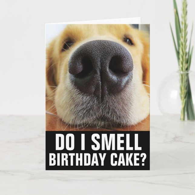TARJETA DE REUNIÓN DE CUMPLEAÑOS DE PERRO DIVERTID (Anverso)