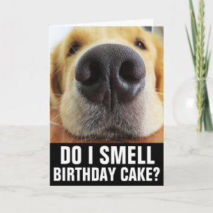 TARJETA DE REUNIÓN DE CUMPLEAÑOS DE PERRO DIVERTID