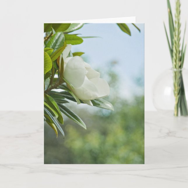 TARJETA DE REUNIÓN DE MAGNOLIA (Anverso)