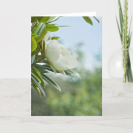 TARJETA DE REUNIÓN DE MAGNOLIA