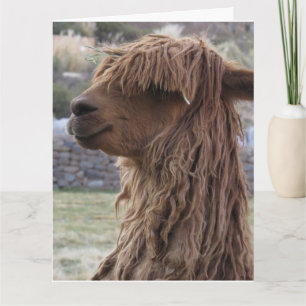 TARJETA DE REUNIÓN DEL CUMPLEAÑOS DE ALPACA FUNNY