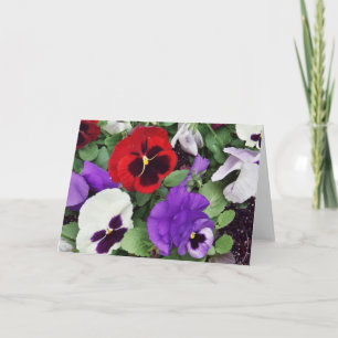 TARJETA DE REUNIÓN: Pansies