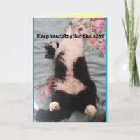 Tarjeta de rodillos para gatos de Tuxedo Cute Funn