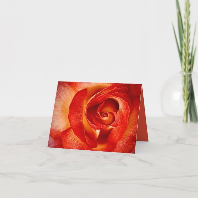Tarjeta de Rosa (Anverso)