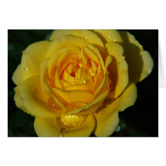 Tarjeta de rosa amarilla