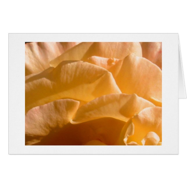 Tarjeta de rosa amarilla (Anverso (Horizontal))