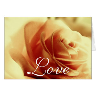 Tarjeta de Rosa de amor