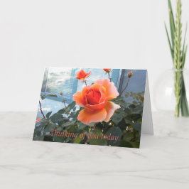 Tarjeta de Rosa de coral, pensando en ti hoy.