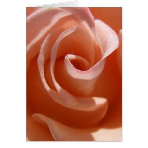 Tarjeta de Rosa de Peach