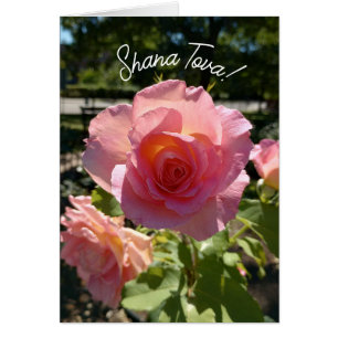 Tarjeta de Rosa de té rosado radiante Rosh Hashana