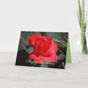 Tarjeta de Rosa feliz cumpleaños