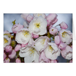 Tarjeta de Rosa japonesa