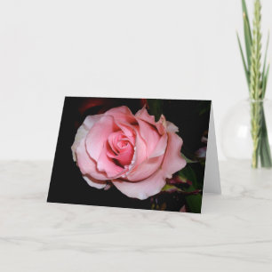 Tarjeta de Rosa Rosa