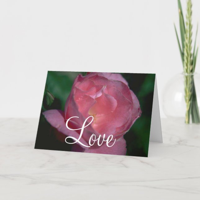 Tarjeta de Rosa Rosa (Anverso)