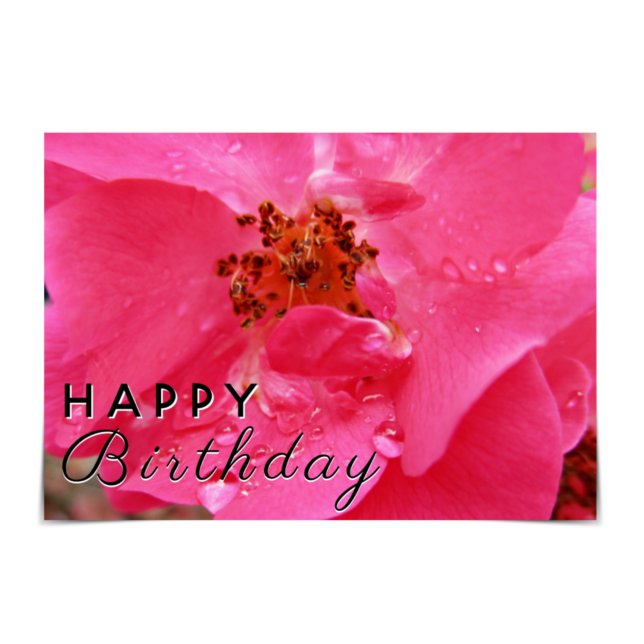 Tarjeta de rosa rosa rosa de Raindrop "Happy Birda (Subido por el creador)