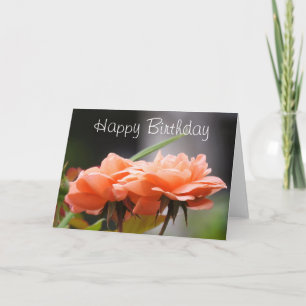 Tarjeta de Rosas Apricot Feliz Cumpleaños